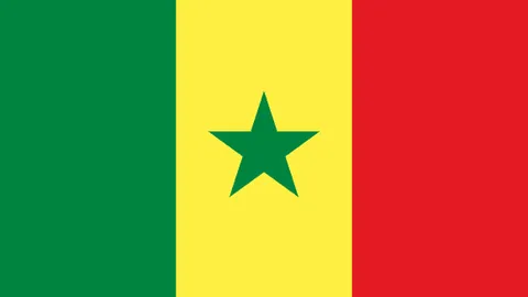 BB贝博艾弗森体育