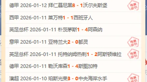 BB贝博艾弗森体育